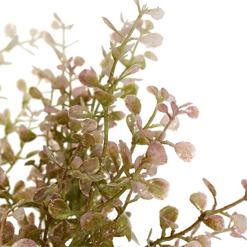 Floristik24 Gałązka bukszpanowa różowa z miką 32cm