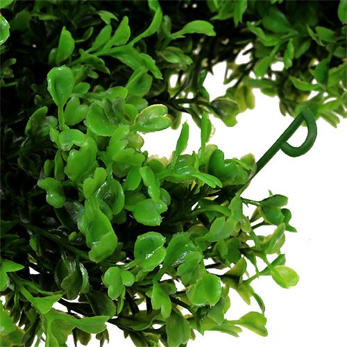 Produkt Girlanda z bukszpanu zielona dł.170cm