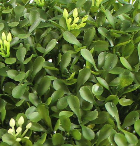 Floristik24 Pudełko piłka Ø25cm