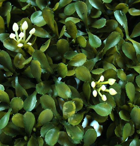 Floristik24 Pudełko piłka Ø30cm