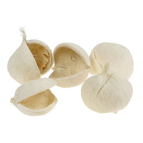 Produkt Orzech Buddy bielony 10 szt