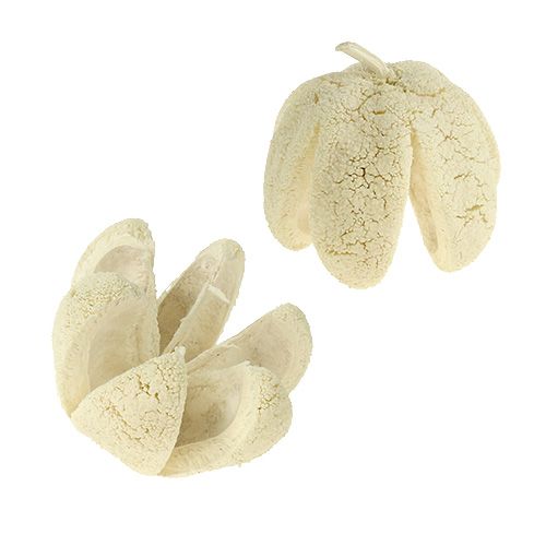 Produkt Deco kwiat bielony 12 szt