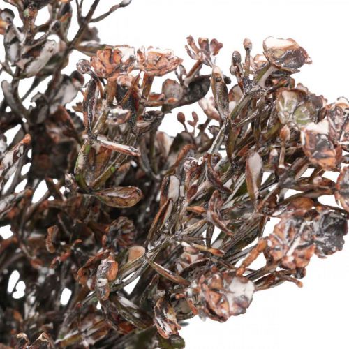 Rośliny sztuczne brązowa dekoracja jesienna dekoracja zimowa Drylook 38cm 3szt