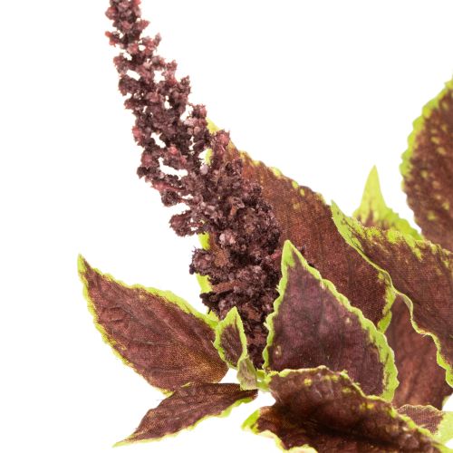 Sztuczny koleus z czerwonymi liśćmi, roślina sztuczna, 20 cm | Floristik24.pl