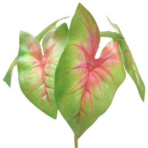 Produkt Sztuczna kaladium sześciolistna zielono-różowa sztuczna roślina jak prawdziwa!