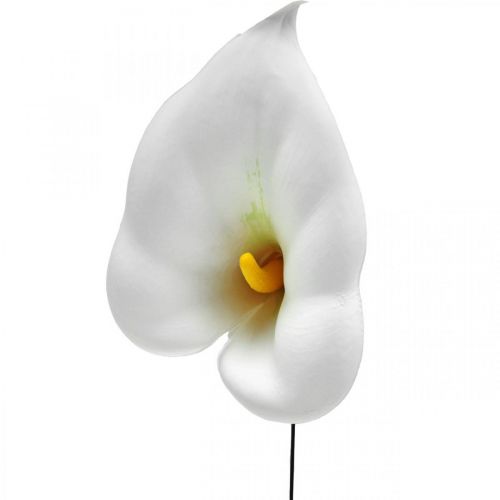 Produkt Calla średnia na drucie 50 szt