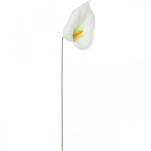 Produkt Calla średnia na drucie 50 szt