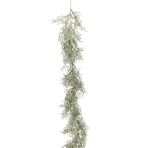 Produkt Calocephalus Garland Sztuczne Rośliny Srebrno Szare 122cm