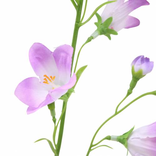 Floristik24 Sztuczny dzwonek Campanula Violet White 66cm