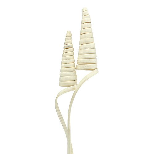 Floristik24 Cane Cone bielone 25 szt