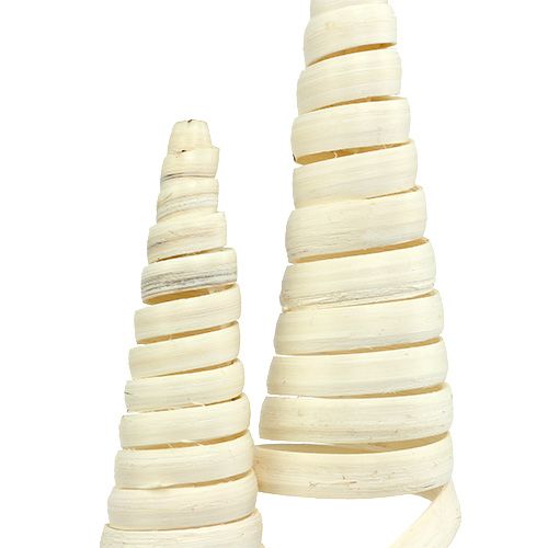 Floristik24 Cane Cone bielone 25 szt