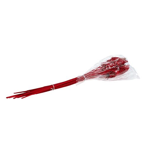 Produkt Cane Cone czerwone 25 szt