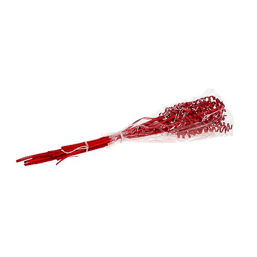 Floristik24 Laska Spring mini czerwona 25 szt