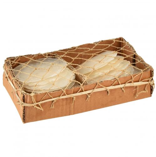 Produkt Muszelki Capiz Plastry Capiz plastry masy perłowej naturalne 7,5–9,5 cm 300g