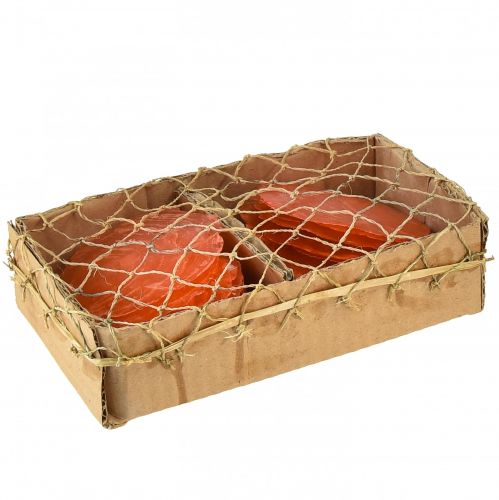 Produkt Muszle Capiz Capiz plastry plastry masy perłowej pomarańczowy 7,5–9,5 cm 300g