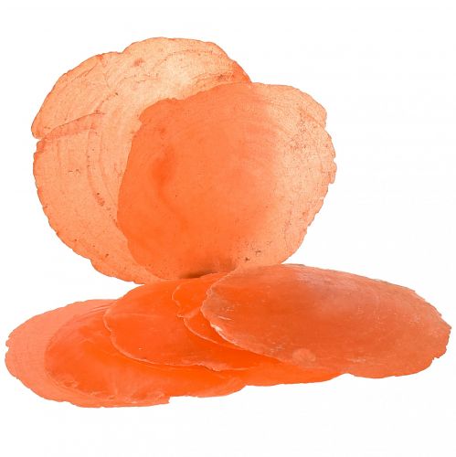 Floristik24 Muszle Capiz Capiz plastry plastry masy perłowej pomarańczowy 7,5–9,5 cm 300g