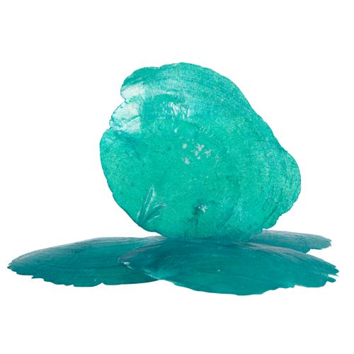 Floristik24 Muszle Capiz Krążki Capiz Krążki z masy perłowej turkusowe 7,5–9,5 cm 300g