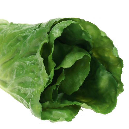 Floristik24 Kapusta pekińska sztuczny prawdziwy dotyk 24 cm