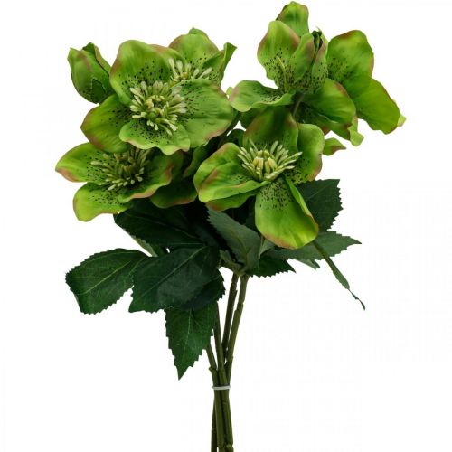 Floristik24 Róża świąteczna Róża wielkopostna ciemiernik kwiaty sztuczne zielone L34cm 4 szt