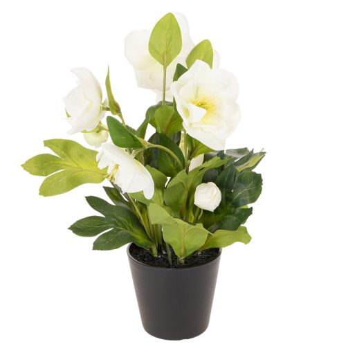 Sztuczna róża bożonarodzeniowa, roślina doniczkowa, dekoracja stołu, 34 cm | Floristik24.pl