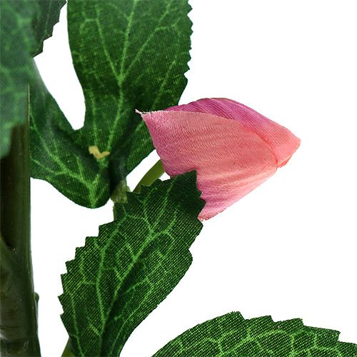 Floristik24 Róż świąteczny różowy L22cm 1szt.