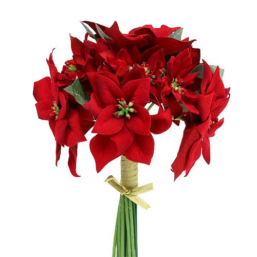 Floristik24 Gwiazda bożonarodzeniowa w pęczku czerwona Ø18cm dł.30cm