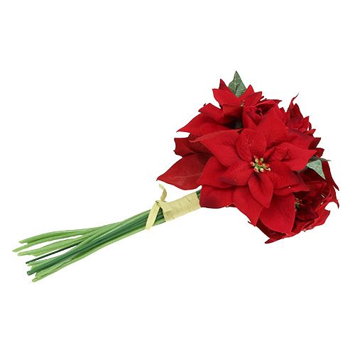 Floristik24 Gwiazda bożonarodzeniowa w pęczku czerwona Ø18cm dł.30cm