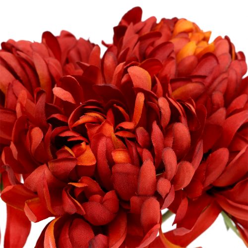 Floristik24 Bukiet chryzantem cynobrowy czerwony 28cm 6 szt