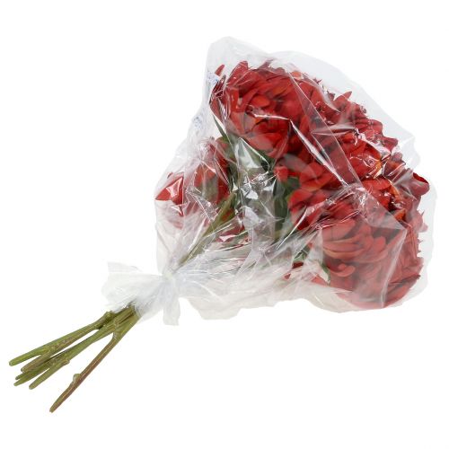 Floristik24 Bukiet chryzantem cynobrowy czerwony 28cm 6 szt