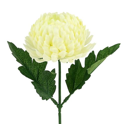 Produkt Sztuczna chryzantema kremowa Ø7cm D18cm