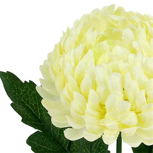 Produkt Sztuczna chryzantema kremowa Ø7cm D18cm