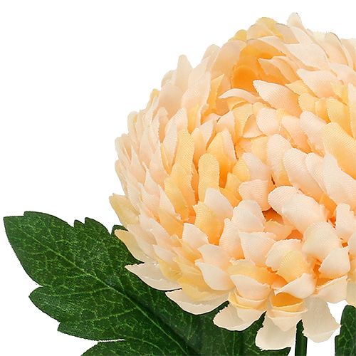 Floristik24 Sztuczna brzoskwinia chryzantemowa Ø7cm dł.18cm