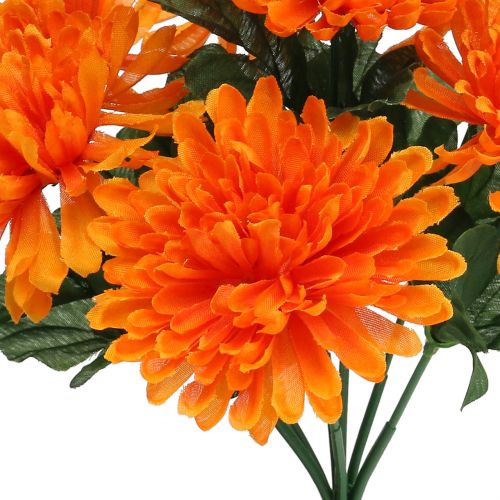 Floristik24 Chryzantema pomarańczowa z 7 kwiatami