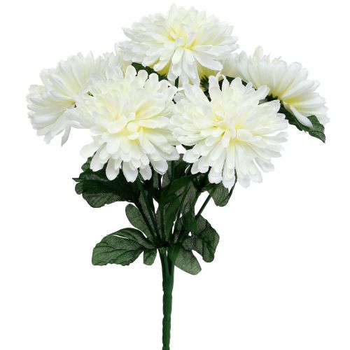 Floristik24 Chryzantema biała z 7 kwiatami