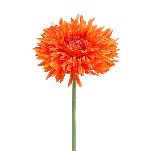 Floristik24 Chryzantema Body 63cm Pomarańczowa