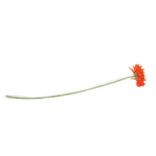 Floristik24 Chryzantema Body 63cm Pomarańczowa