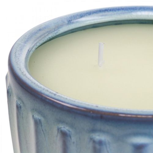Produkt Citronella świeczka w doniczce Świeca zapachowa cytryna Ø18cm W8cm