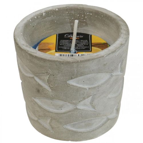 Floristik24 Citronella świeca w doniczce świeca zapachowa cytryna Ø7,5cm W6,5cm
