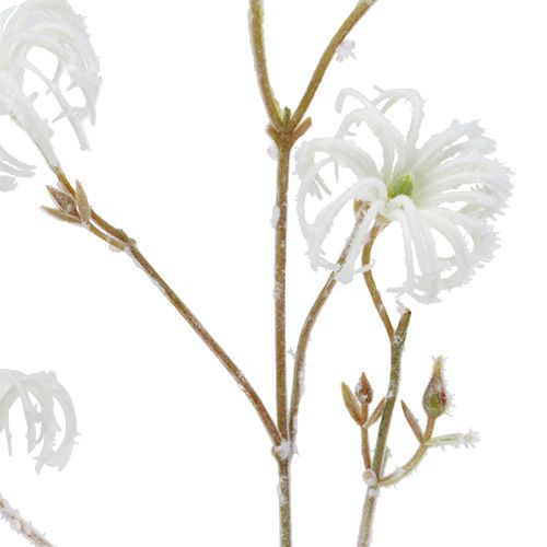Floristik24 Clematis gałązka biała flokowana 62cm 3szt.