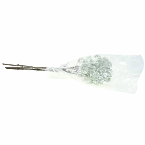 Produkt Powojnik zielony ze śniegiem 43cm 3 szt