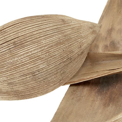 Produkt Łupiny kokosa Bielone liście kokosa 25 szt