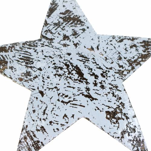 Produkt Gwiazda kokosowa biała myta 10cm 20 szt