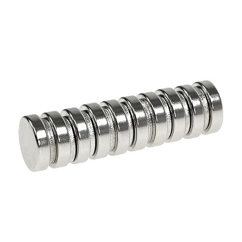 Floristik24 Magnes do stanika 12 x 3 mm 10 szt