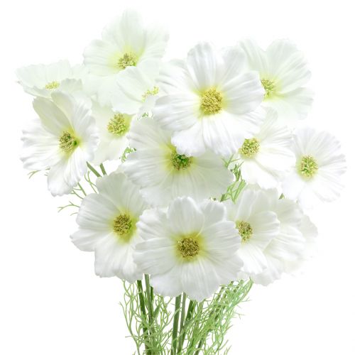 Cosmea White 77cm 3szt.