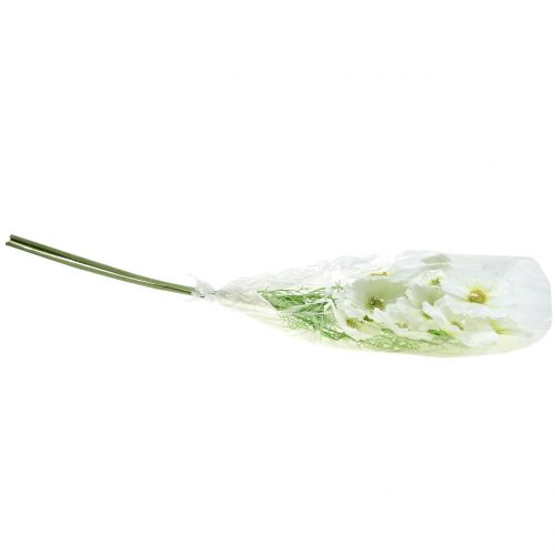 Floristik24 Cosmea White 77cm 3szt.