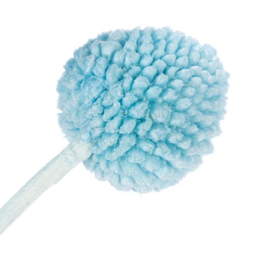 Produkt Suszone kwiaty Craspedia do wazonu, minimalistyczny styl, trwała ozdoba na lato, 55 cm, 20 sztuk