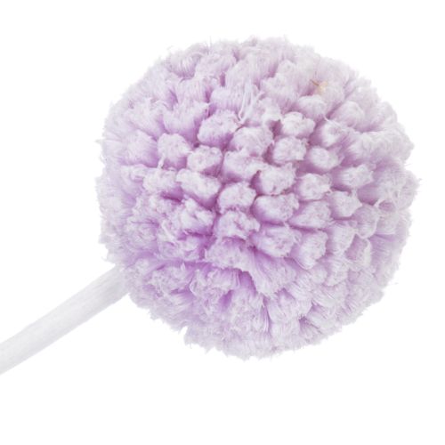 Produkt Suszone kwiaty Craspedia do nowoczesnej dekoracji stołu w Twoim domu, 55 cm, 20 szt.