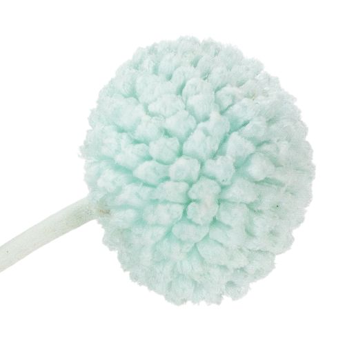 Produkt Suszone kwiaty Craspedia, dekoracyjny bukiet do salonu, dekoracja stołu, wesele, 55 cm, 20 sztuk