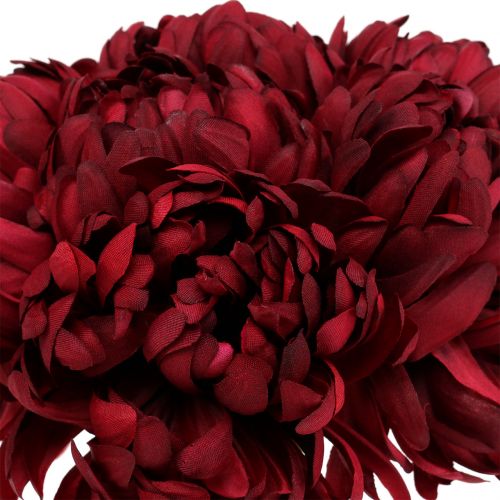 Floristik24 Bukiet chryzantem Bordeaux 28cm 6szt.