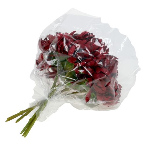 Floristik24 Bukiet chryzantem Bordeaux 28cm 6szt.